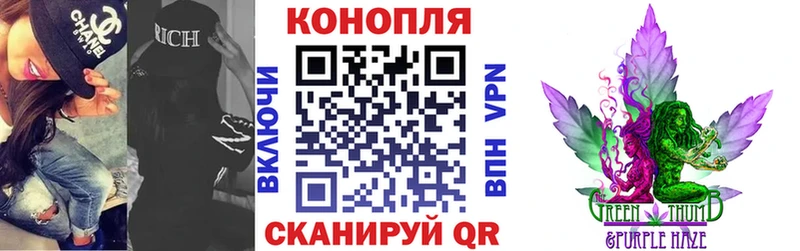 Купить где  Александровское  Бошки марихуана марихуана 